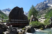 Da Chiareggio al GHIACCIAIO DEL VENTINA il 20 luglio 2016 - FOTOGALLERY